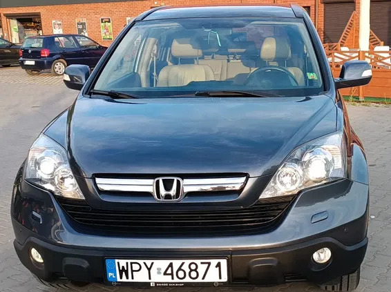 wielkopolskie Honda CR-V cena 39999 przebieg: 171700, rok produkcji 2007 z Łódź